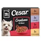 image 1 of CESAR Dog Pouches Creations in Jelly  12x100g