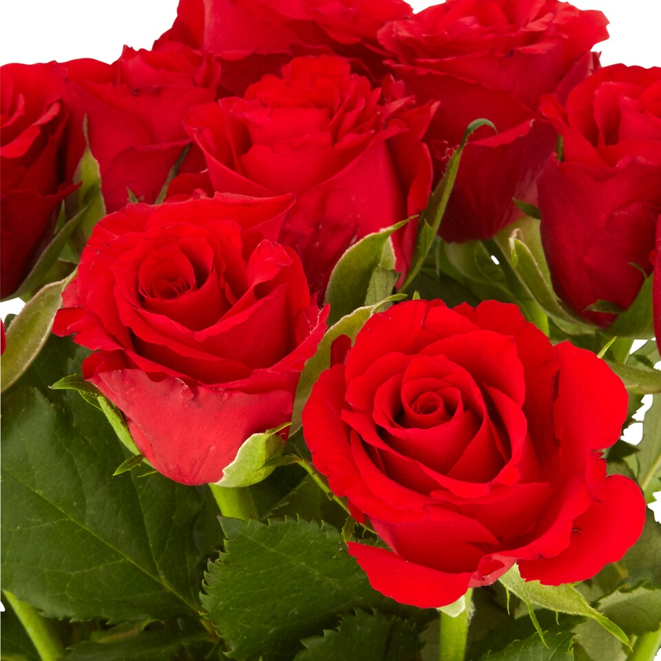 image 1 of Tesco Small Red & Orange Roses Bouquet