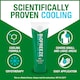 image 3 of Biofreeze Muscle & Joint Cooling Pain Relief Gel 118ml
