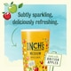 image 3 of Inch's Medium Apple Cider Can 10x440ml
