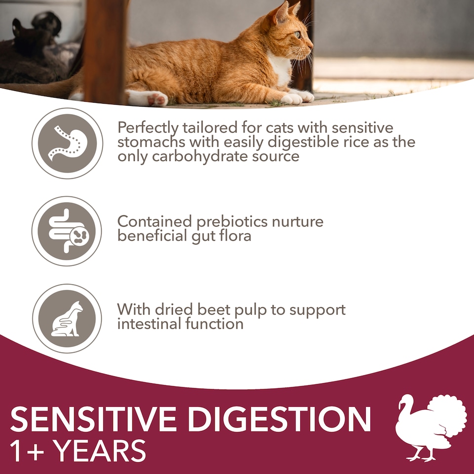 image 1 of IAMS Adult Sensitive Dry Cat Food Turkey 800g