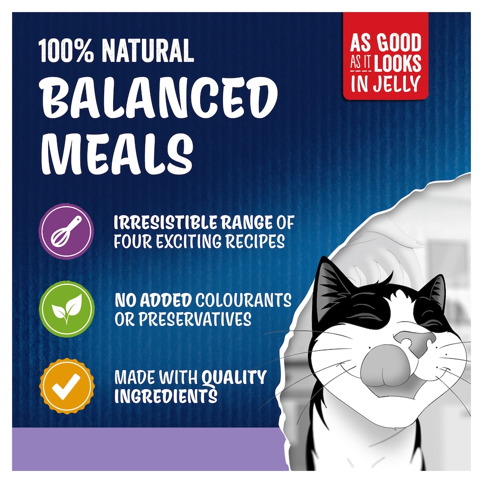 image 1 of FELIX As Good As it Looks Kitten Mixed in Jelly Wet Cat Food 40x85g