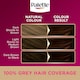 image 4 of Palette Deluxe 3-65 Chocolate Brown oil care permanent hair colour