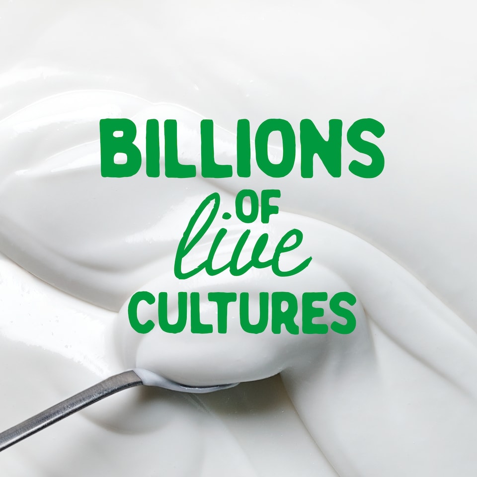 image 1 of The Coconut Collab Plain Gut Health Coconut Yoghurt 350g