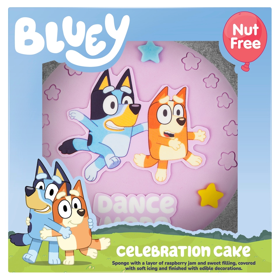 Bluey Celebration Cake with Raspberry Jam