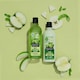 image 3 of Alberto Balsam Juicy Green Apple Shampoo 300Ml