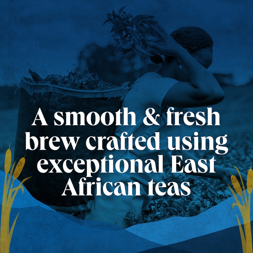 image 1 of Scottish Blend Tea Bags 210 Pack 609g