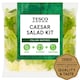 image 1 of Tesco Creamy Caesar Salad 262G