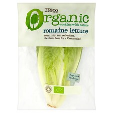 Tesco Organic Romaine Lettuce Each