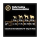 image 5 of Cesar Deliciously Fresh Wet Dog Food Pouches in Jelly 12x100g