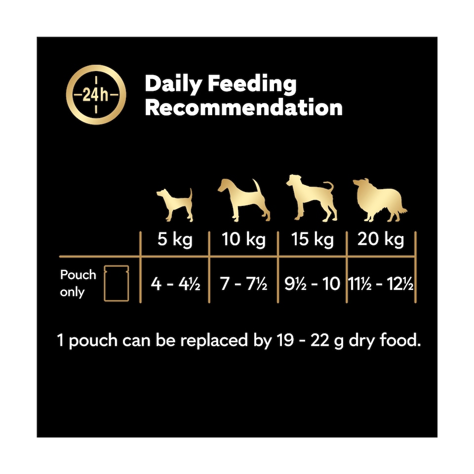 image 1 of Cesar Deliciously Fresh Wet Dog Food Pouches in Jelly 12x100g