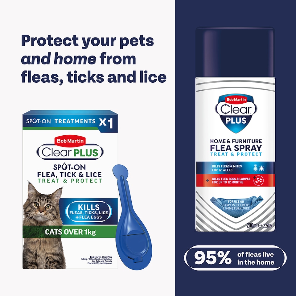 image 1 of Bob Martin Clear Plus Spot On Flea & Tick Cat +1Kg 1 Pipette