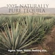 image 5 of Patron Silver Tequila 70Cl