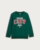 image 4 of F&F Boys Cotton Rich Christmas Crew Sweatshirt in Green