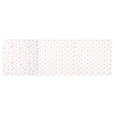 Fred & Flo Rainbow 3 Pack Muslins