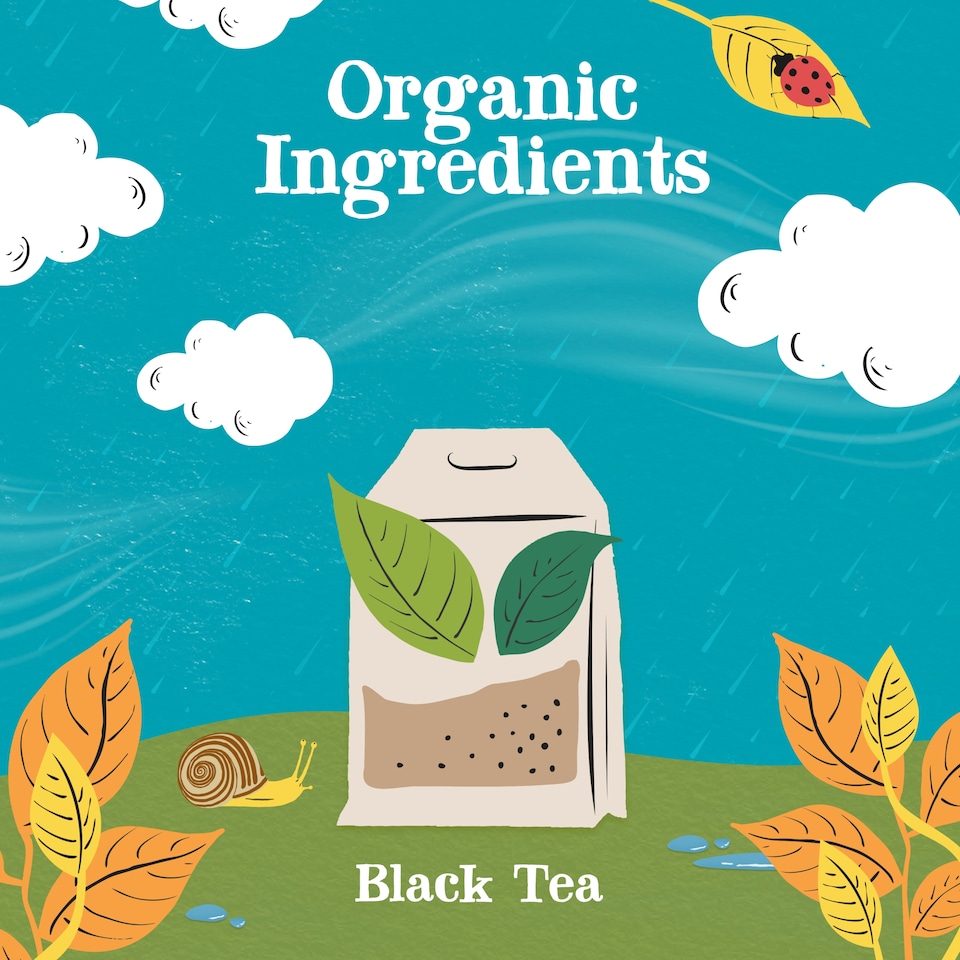 image 1 of Clipper Organic English Breakfast Tea 40 Tea Bags 116G