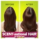 image 2 of Herbal Essences Dazzling Shine Shampoo - Lime Essences 400ml
