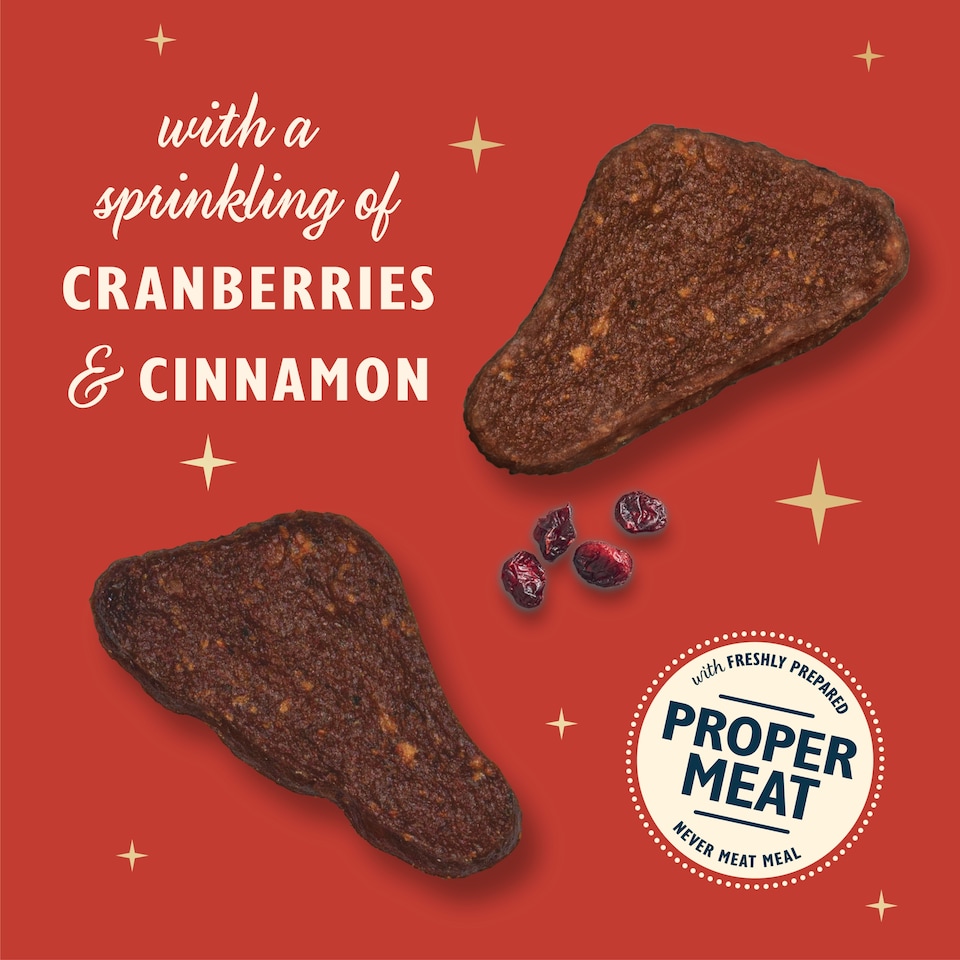 image 1 of Lily's Kitchen Christmas Festive Turkey Jerky for Dogs 70g