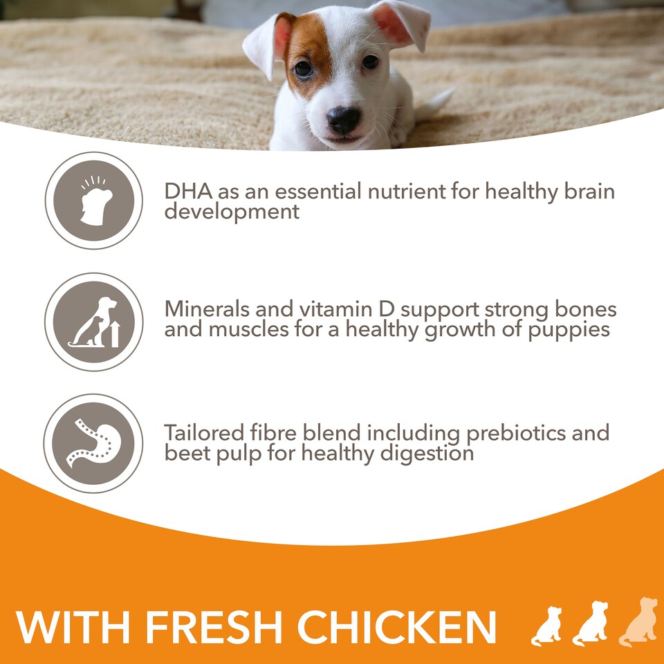 image 1 of Iams Dog Food Puppy Small, Medium With Chicken 800G