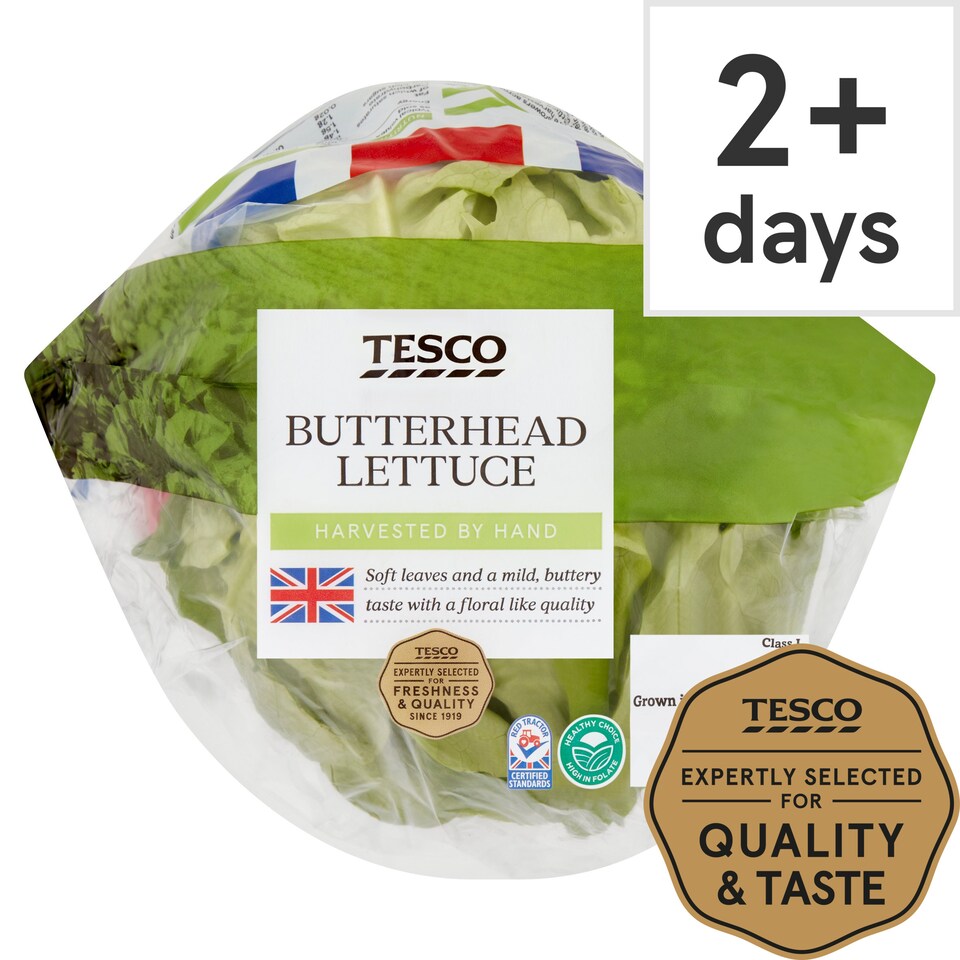 Tesco Butterhead Lettuce Tesco Groceries