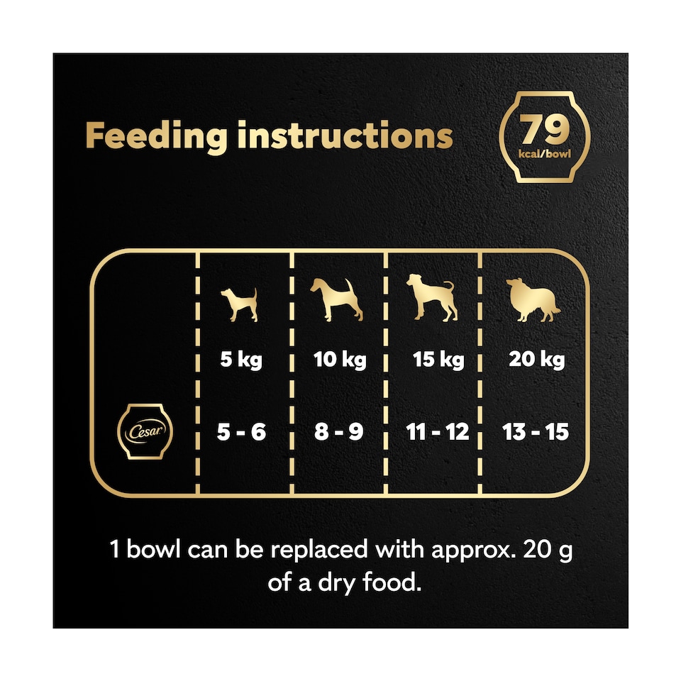 image 1 of CESAR Wet Dog Food Fresh Bowls in Gravy 6 x 85g