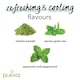 image 2 of Pukka Organic Mint Matcha 20 Tea Bags 30G