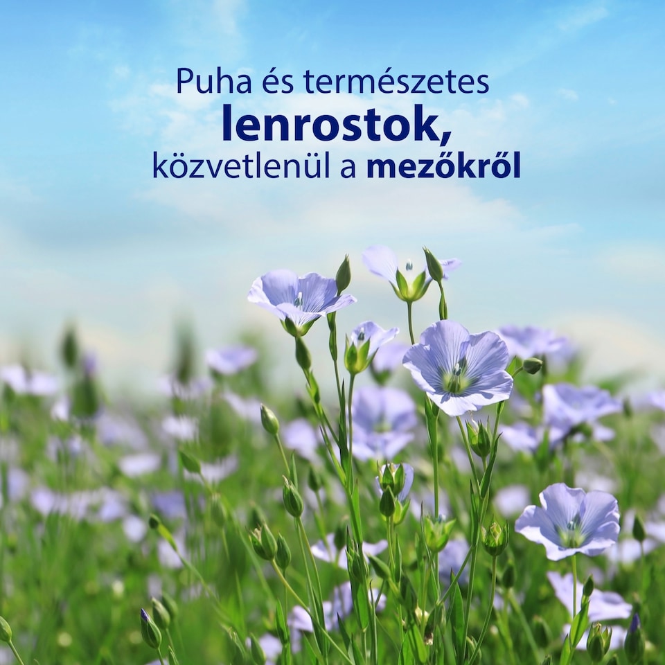 Zewa Sensitive nedves toalettpapír 42 db 1. kép