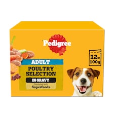 Pedigree Adult Wet Dog Food Pouches Poultry in Gravy 12x100g