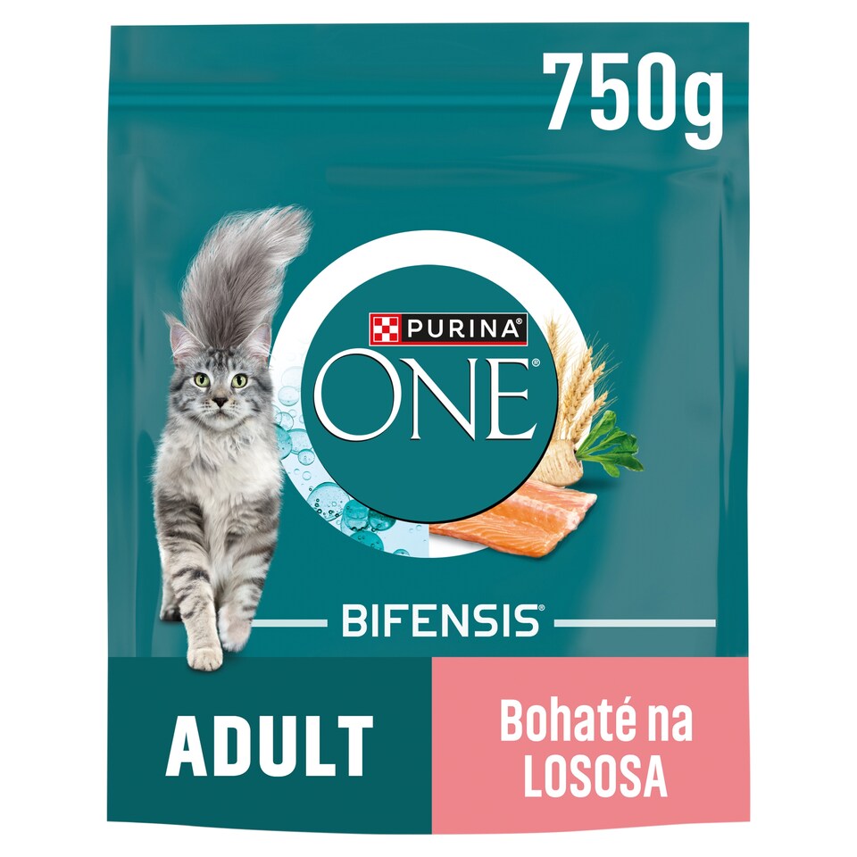 Purina ONE Bifensis Adult Cat Food Salmon 750 g