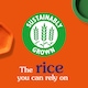 image 5 of Ben's Original Long Grain Rice 500G
