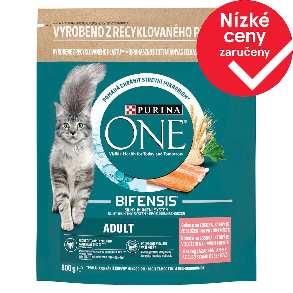 Purina ONE Adult bohaté na lososa 800g