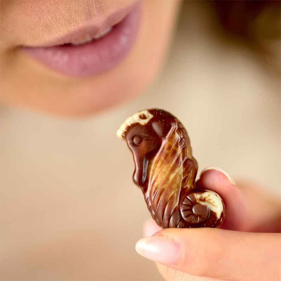 image 1 of Guylian Seashells Boxed Chocolates 250G