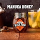 image 2 of Hilltop Premium Manuka 100+ Mgo Honey Of New Zealand 225G