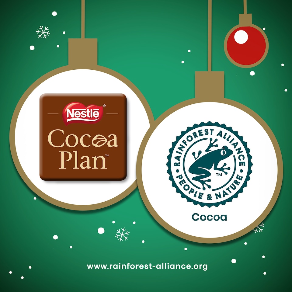 image 1 of After Eight Dark Mint Chocolate Box 300g