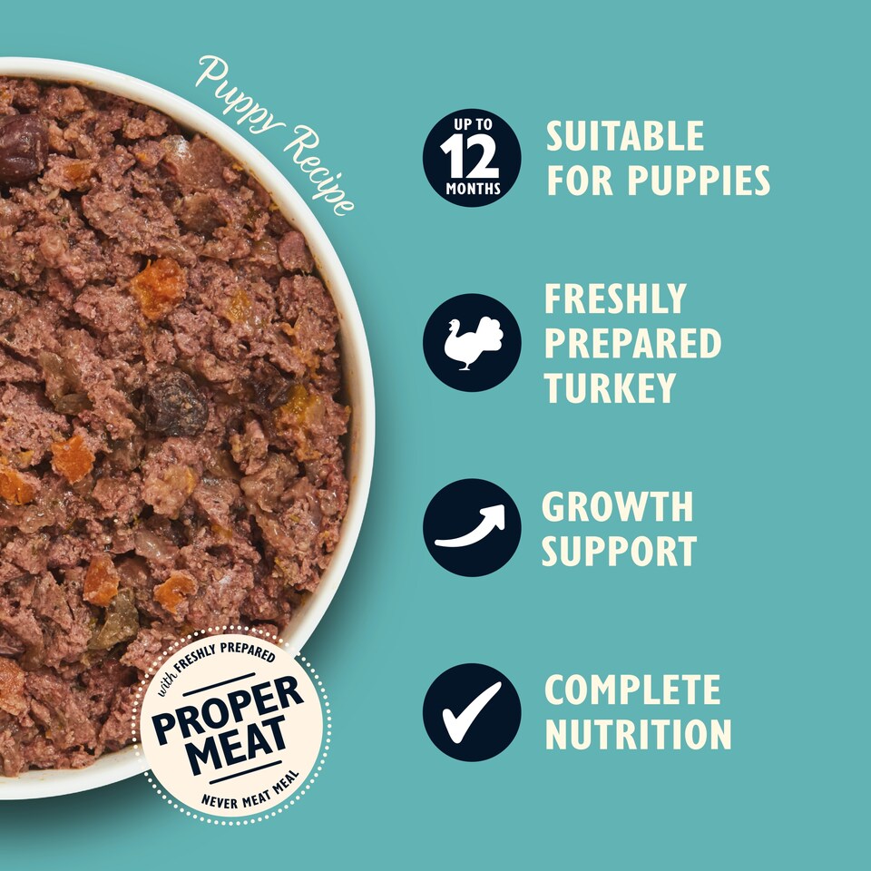 image 1 of Lily's Kitchen Puppy Recipe with Turkey, Duck & Kale Tray 150g