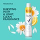image 3 of Sure Women Cotton Antiperspirant Deodorant 300Ml