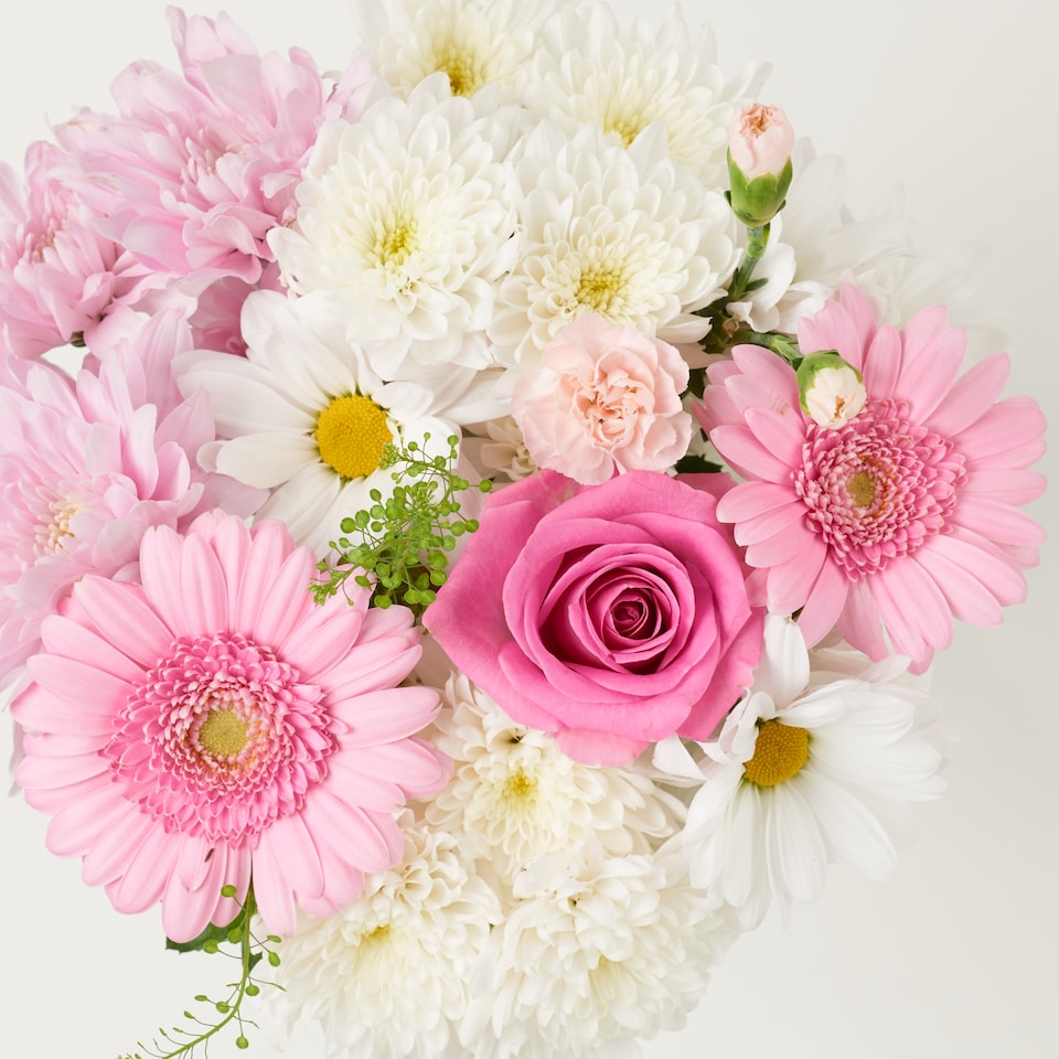 image 1 of Sweet Surprise Mix