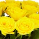 image 2 of Rose Bouquet (Yellow)