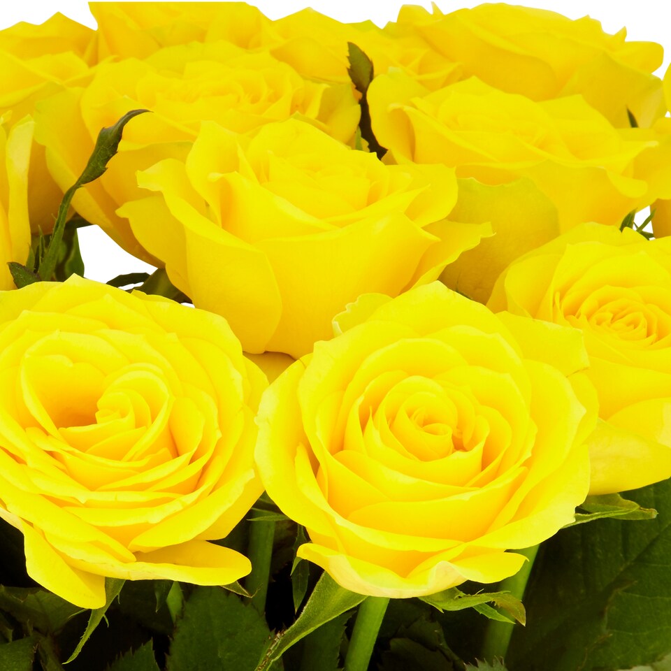 image 1 of Rose Bouquet (Yellow)