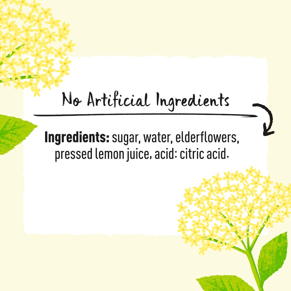 image 1 of Belvoir Elderflower Cordial 500Ml