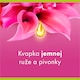 obrázok 2 z Palmolive Aroma Essence Alluring Love Sprchový gél 500ml