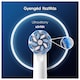 image 4 of Oral-B Pro Toothbrush Heads XFilament