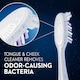 image 4 of Oral-B Pro Expert Extra Clean Eco Edition Toothbrush