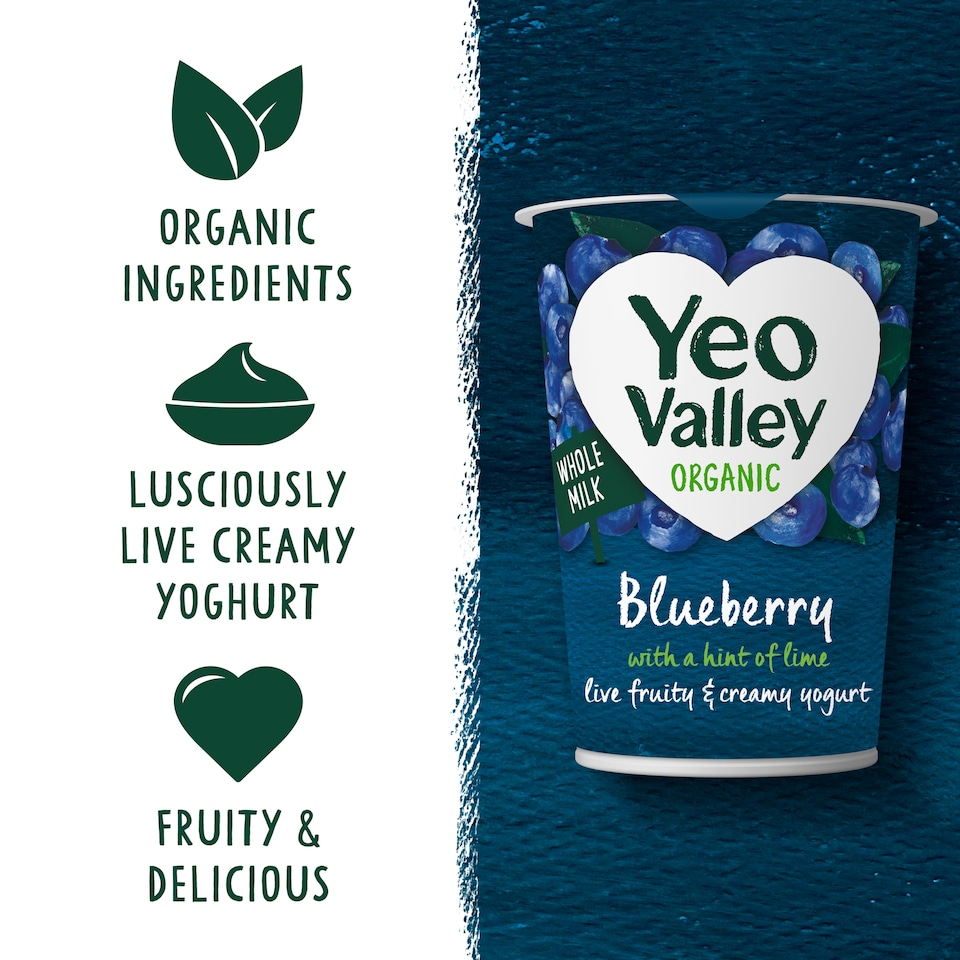 image 1 of Yeo Valley Blueberry Yogurt 450G