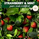 image 4 of Herbal Essences Bio. Renew Strawberry Shampoo 400Ml