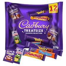 CADBURY FAMILY TREATSIZE 223G 