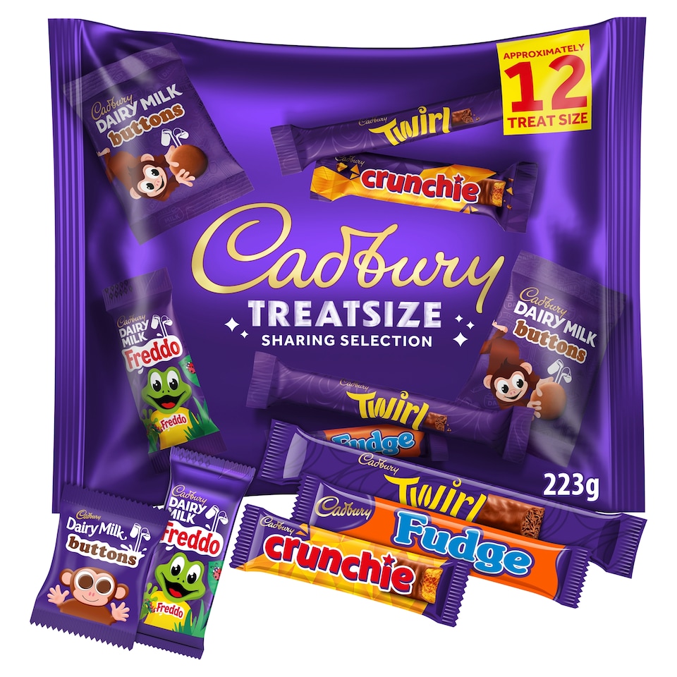 CADBURY FAMILY TREATSIZE 223G 