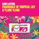 image 4 of Surf 3 In1 Tropical Lily Washing Capsules 27 Washes 467.1g