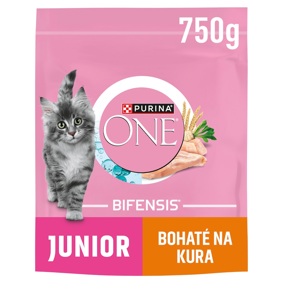 Purina ONE Bifensis Junior granuly pre mačiatka kura 750 g