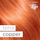 image 2 of Clairol Colour Toning Gloss Terra Copper 130Ml